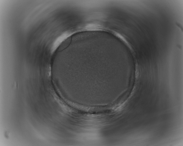 X0000099481461200805231843