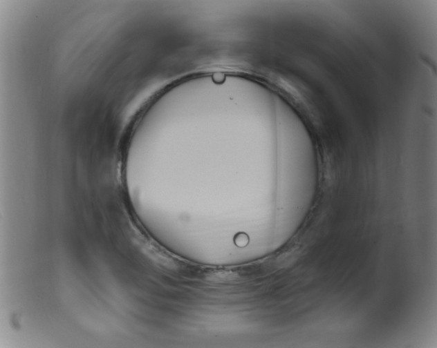 X0000099481462200805231843