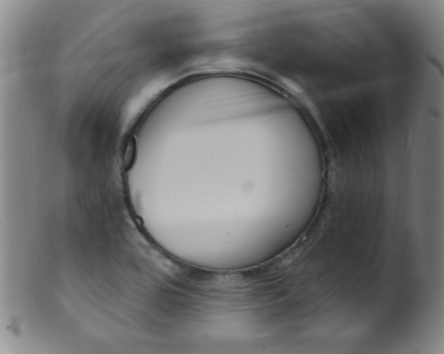X0000099481464200805231843