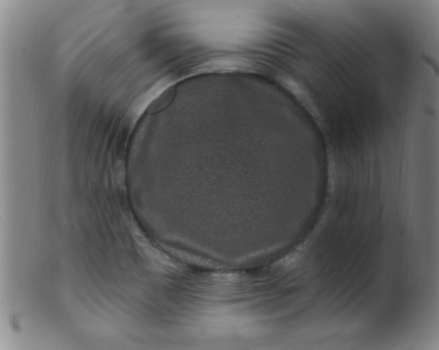 X0000099481465200805231843