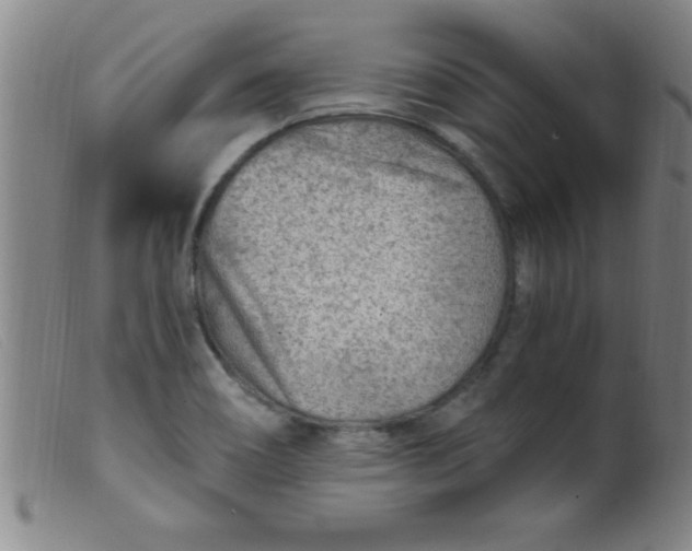 X0000099481466200805231843