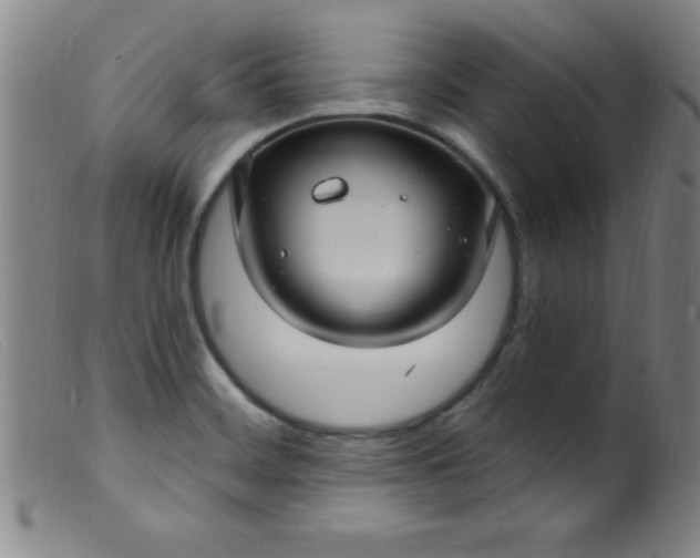 X0000099481468200805231843