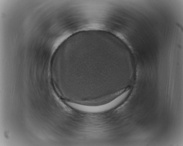 X0000099481469200805231843