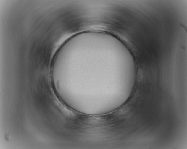 X0000099481470200805231843