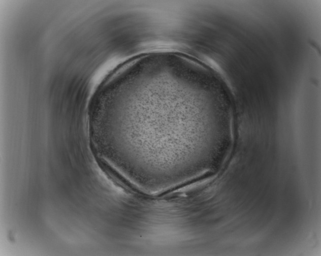 X0000099481472200805231843