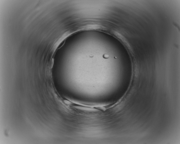 X0000099481473200805231843