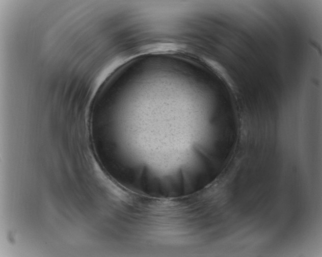 X0000099481475200805231843