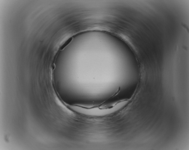X0000099481476200805231843