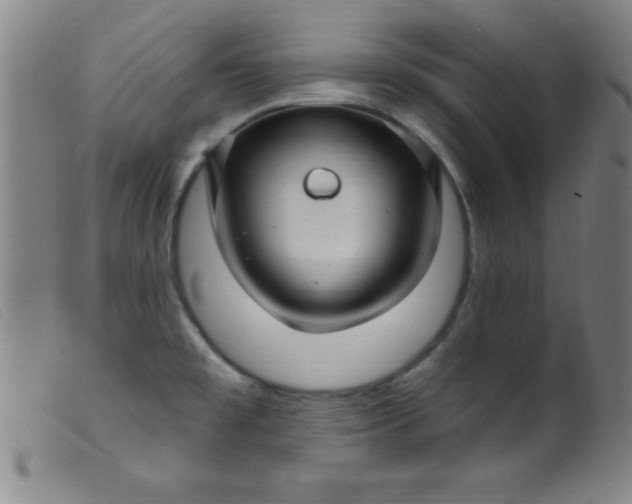 X0000099481477200805231843