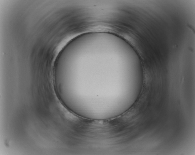 X0000099481478200805231843