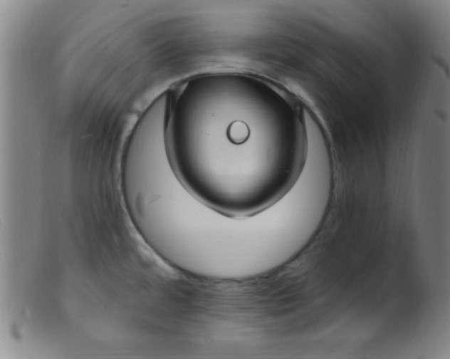 X0000099481480200805231843