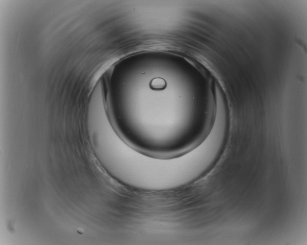 X0000099481481200805231843