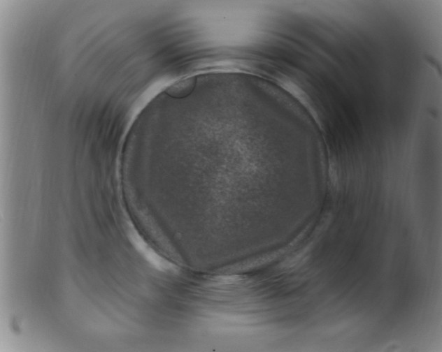 X0000099481482200805231843