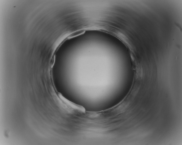 X0000099481484200805231843