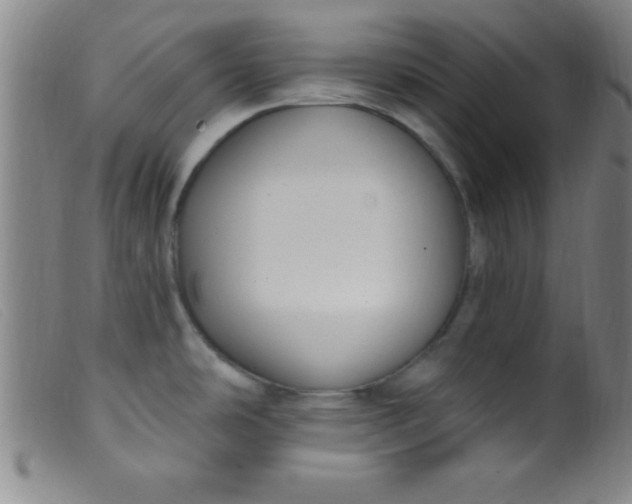 X0000099481486200805231843