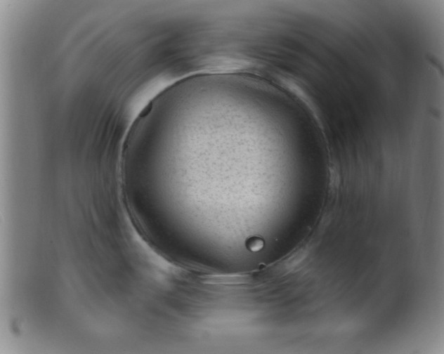 X0000099481487200805231843