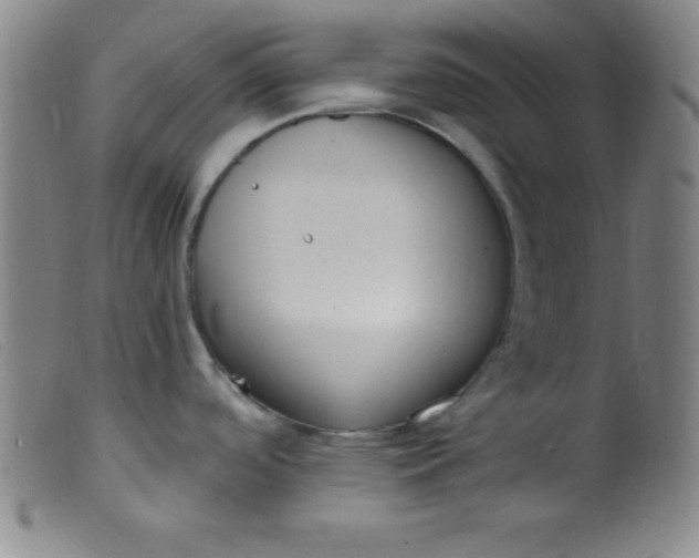 X0000099481488200805231843