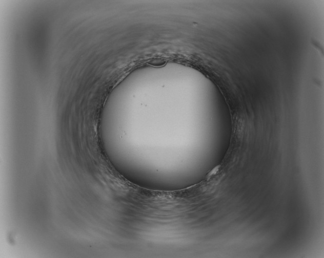X0000099481489200805231842