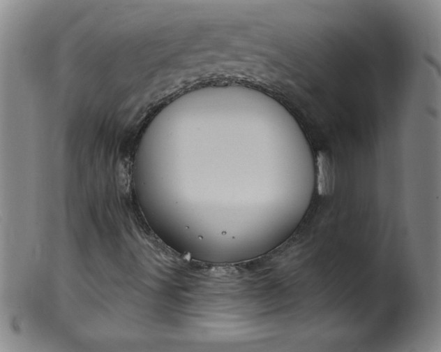 X0000099481491200805231842