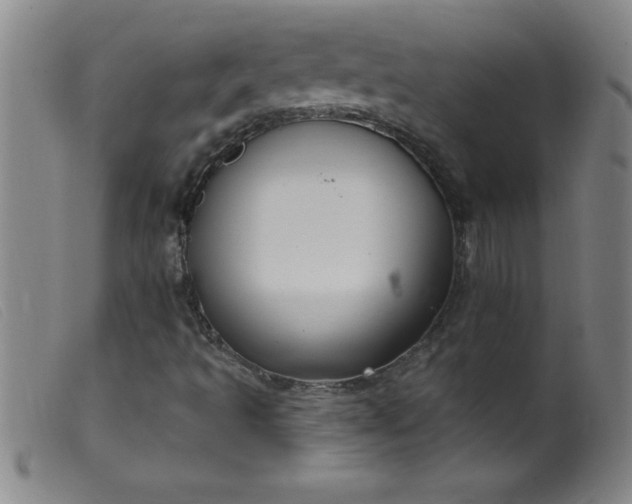 X0000099481493200805231842
