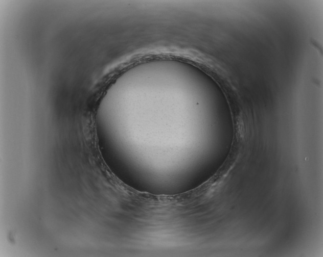 X0000099481494200805231842