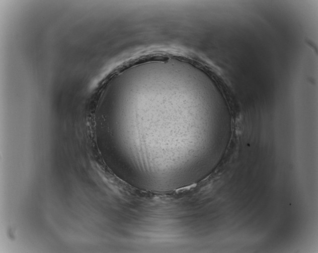X0000099481496200805231842