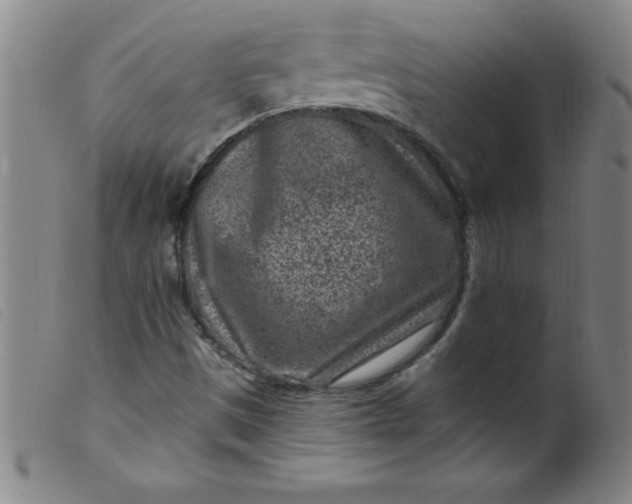 X0000099481497200805231842