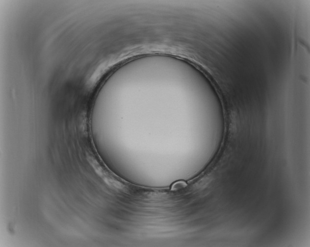 X0000099481499200805231842