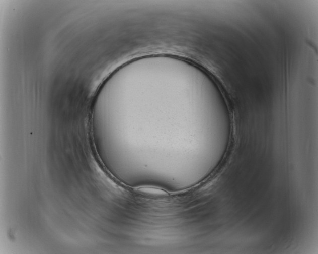 X0000099481500200805231842