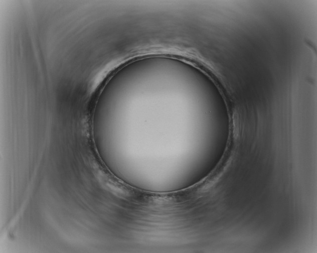X0000099481501200805231842