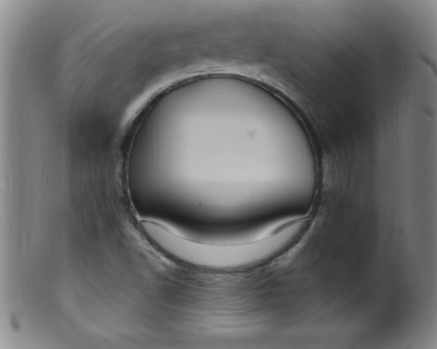 X0000099481502200805231842