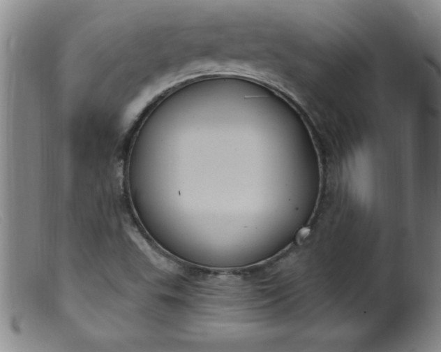 X0000099481503200805231842