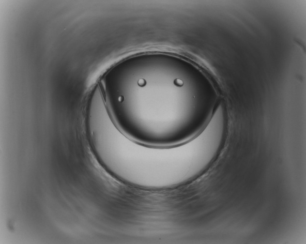 X0000099481504200805231842