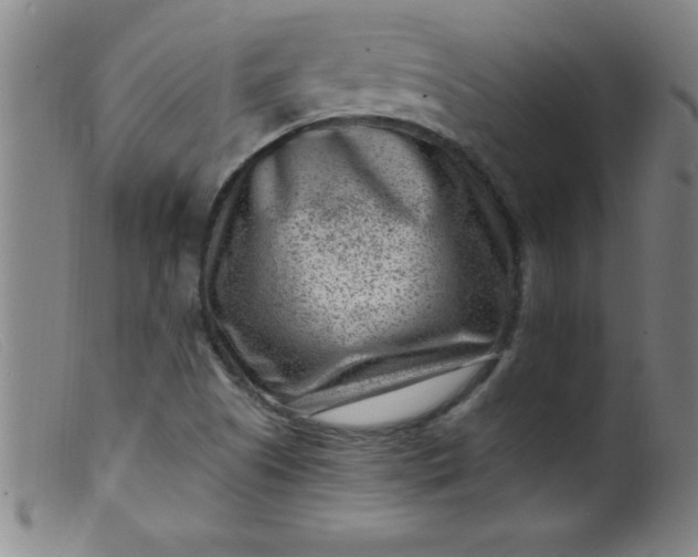 X0000099481505200805231842
