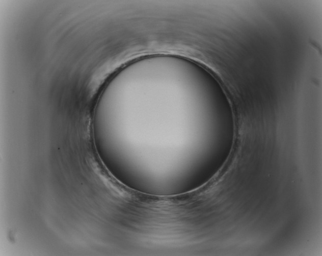 X0000099481507200805231842