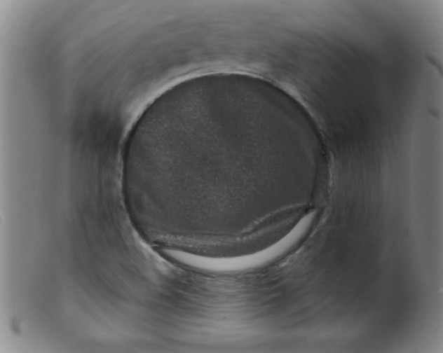 X0000099481508200805231842