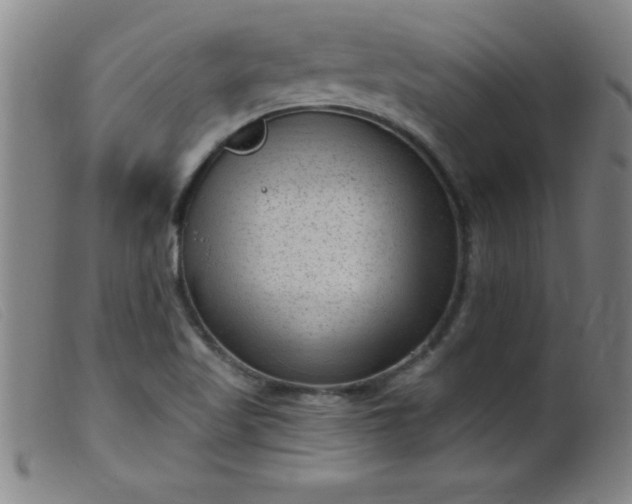 X0000099481509200805231842