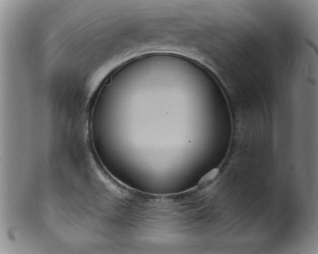 X0000099481511200805231842