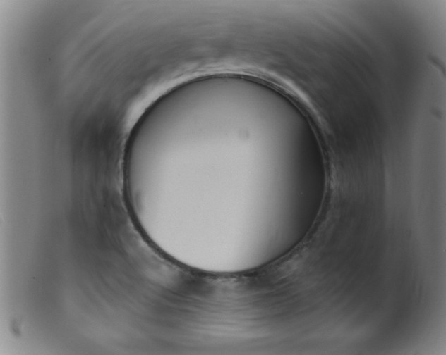 X0000099481512200805231842