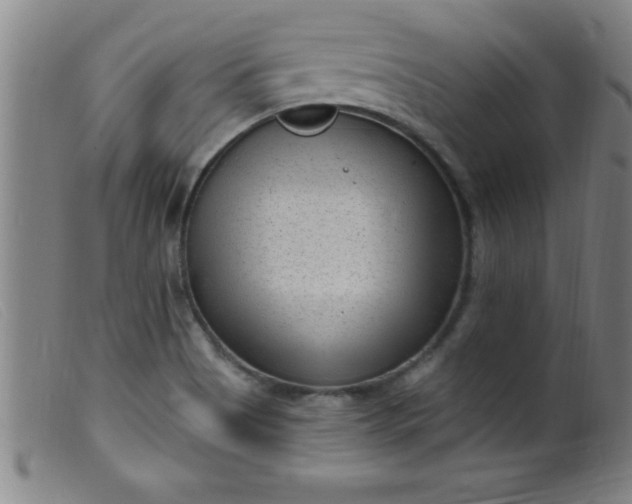 X0000099481513200805231842