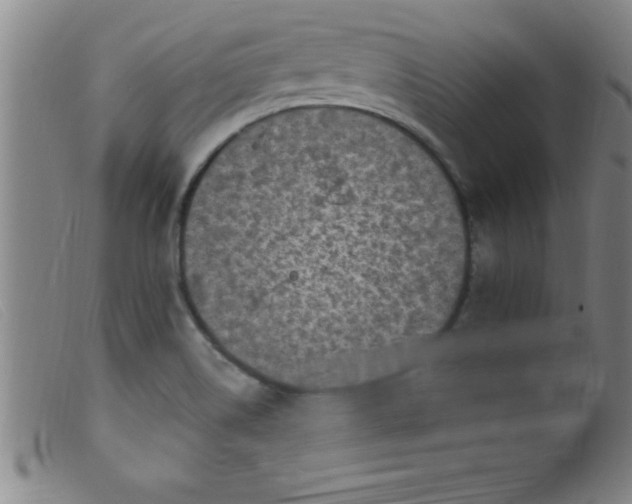 X0000099481514200805231842