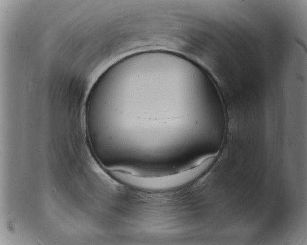 X0000099481516200805231842