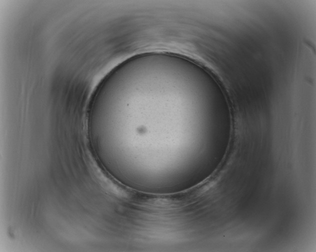 X0000099481517200805231843