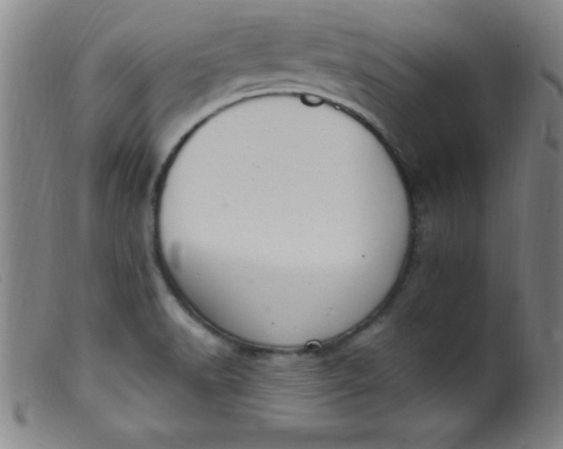 X0000099481518200805231843
