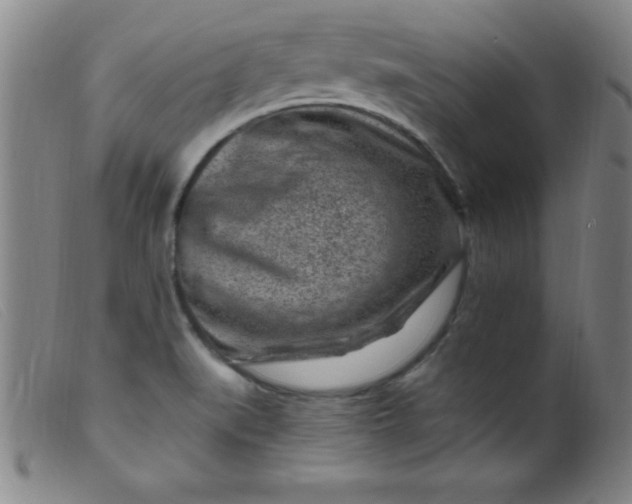 X0000099481519200805231843