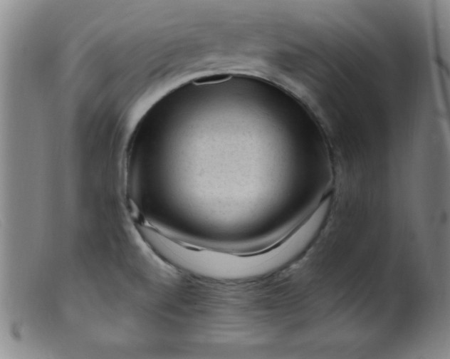 X0000099481520200805231843