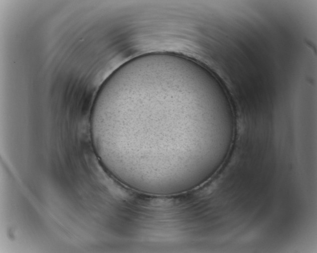 X0000099481521200805231843