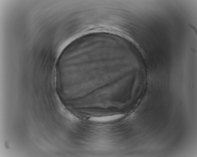 X0000099481522200805231843