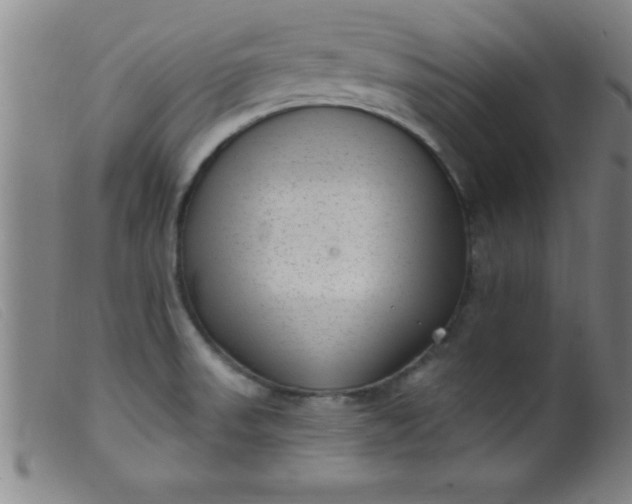 X0000099481523200805231843