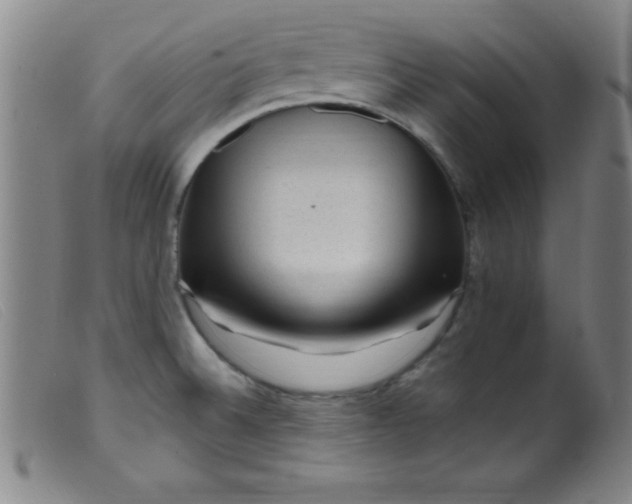 X0000099481524200805231843
